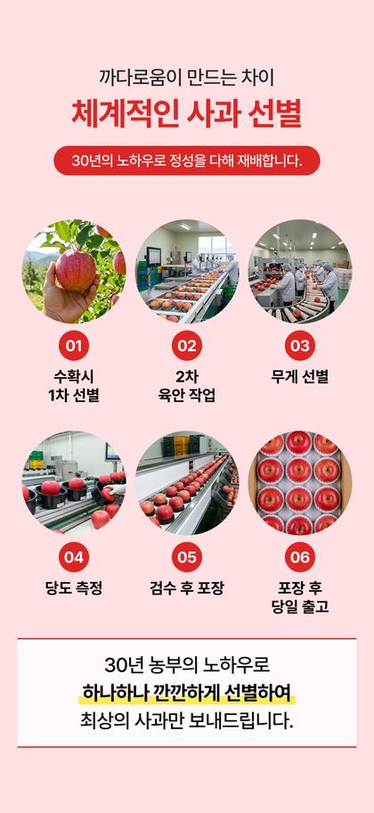 07_재배과정 생산과정_14.jpg